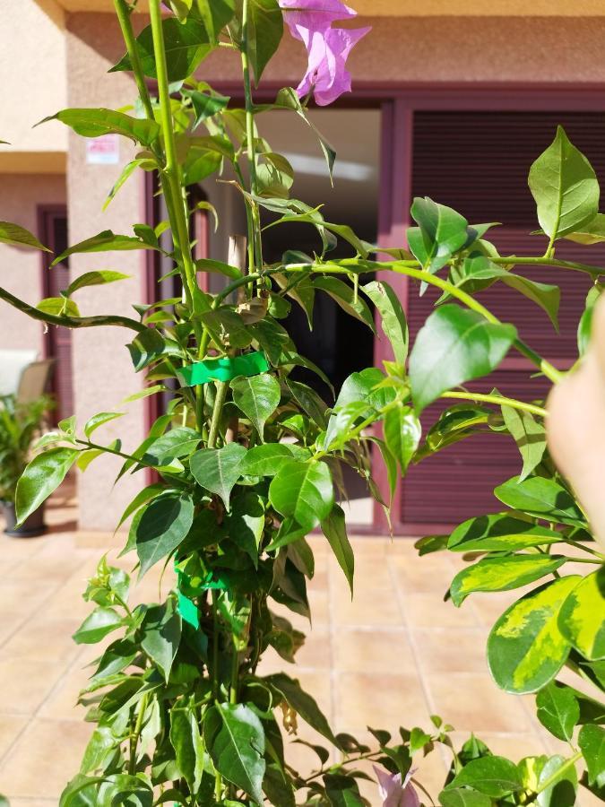 Vivienda Vacacional Compartida Radazul Bed and Breakfast Esterno foto