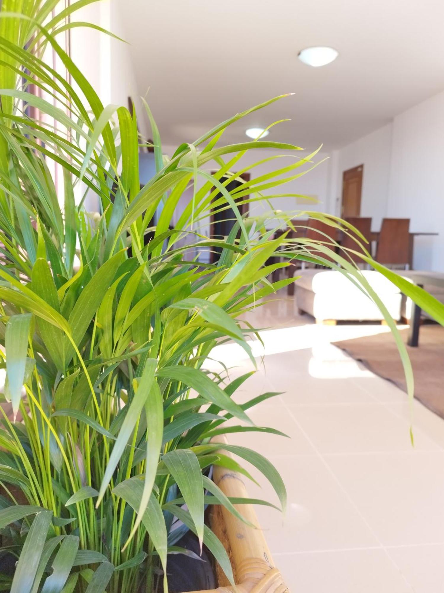 Vivienda Vacacional Compartida Radazul Bed and Breakfast Esterno foto